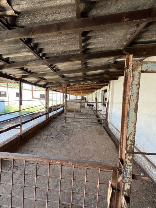 Продается дом (ферма) 12 соток