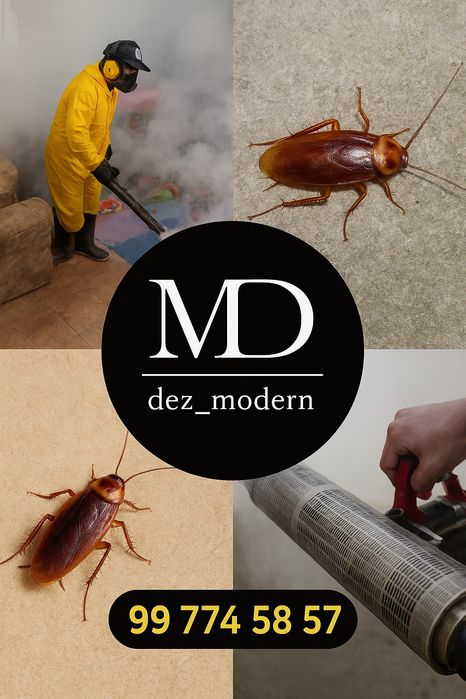 Dezinfeksiya / Dizenfeksiya / Dizinfeksiya xizmati – Klop, tarakan, ch