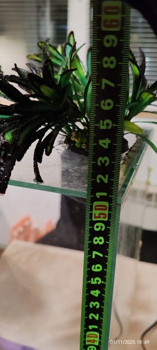 Аквариум 30л с разни водорасли и арка