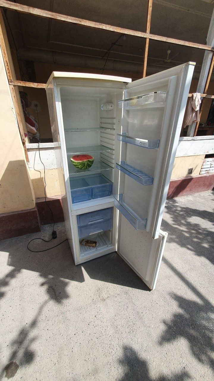 Artel haladelnig