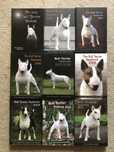 Colectie anuare Bull Terrier