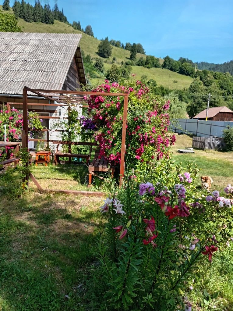 Casa de vanzare în Bradu jud Neamț