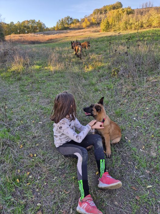 Se ofera spre adoptie, nu vand