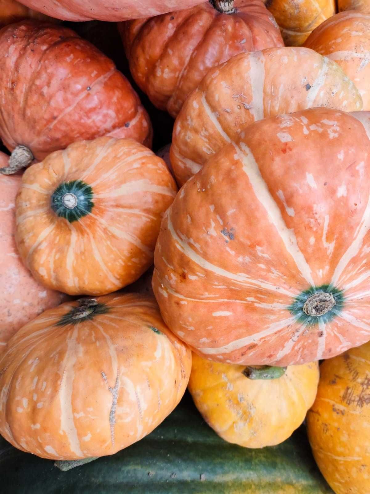 Продам домашнюю медовую мускатную тыкву