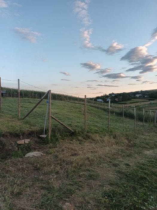 Teren în Valea fanatelor