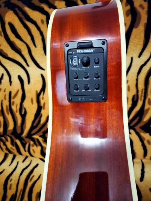 Електро акустична китара C.Giant с Fishman 301