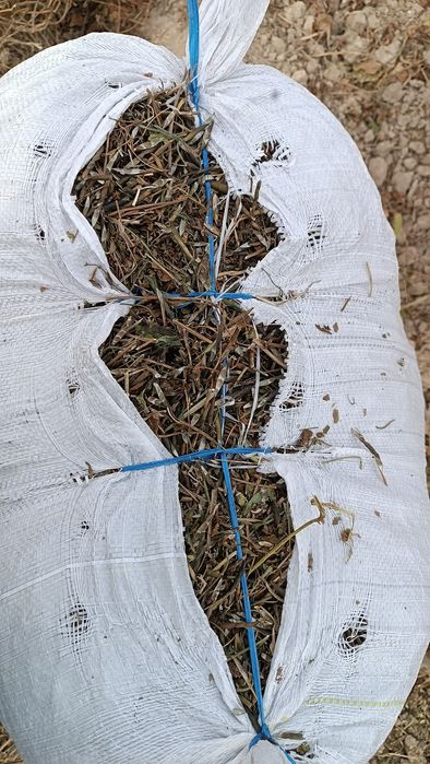 Moshni buri qo'ylar uchun