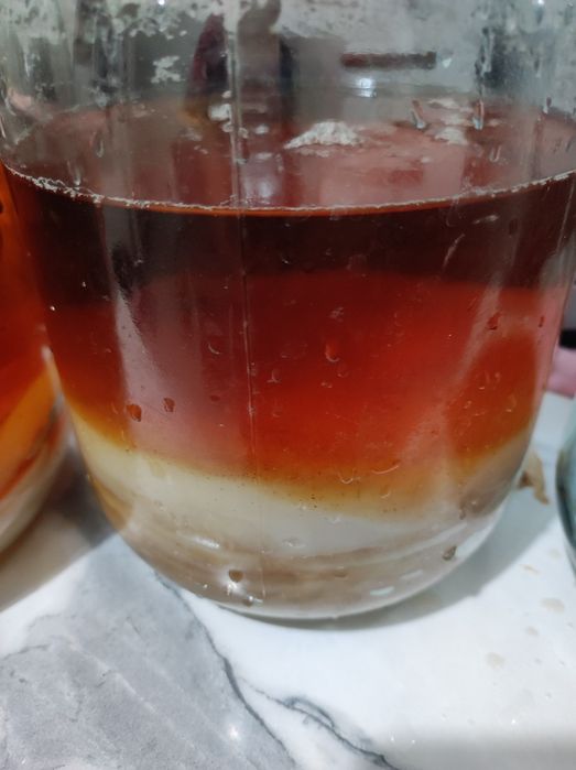 Продается "камбуча"(чаиный гриб)