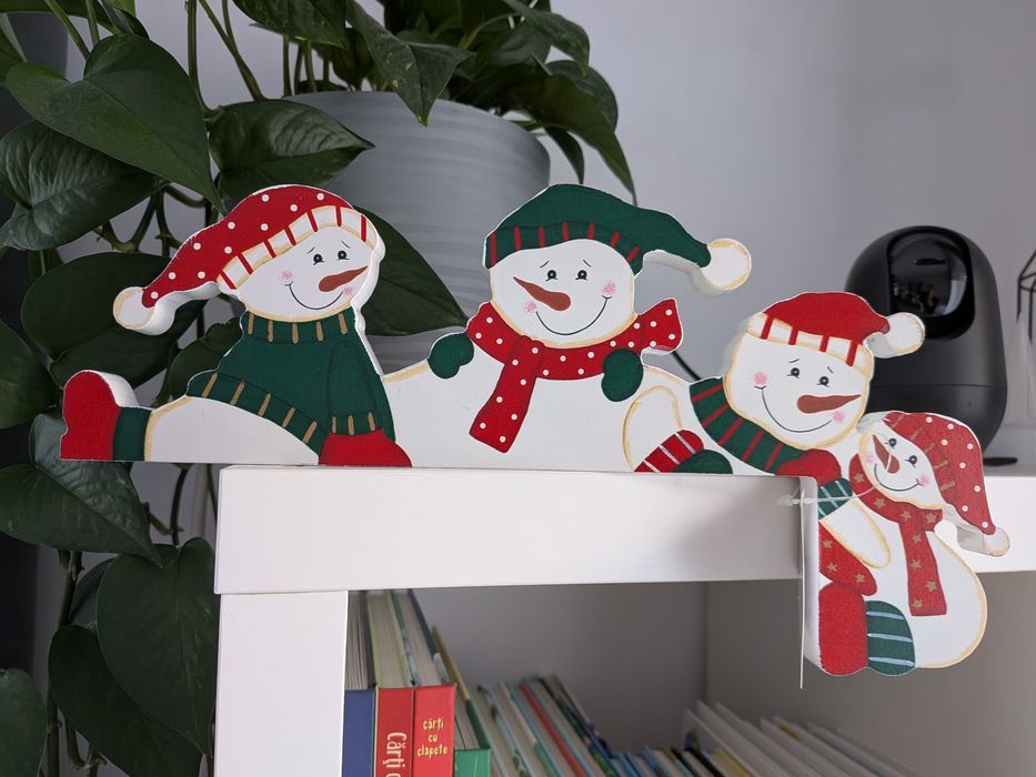 Vand decoratiune Craciun