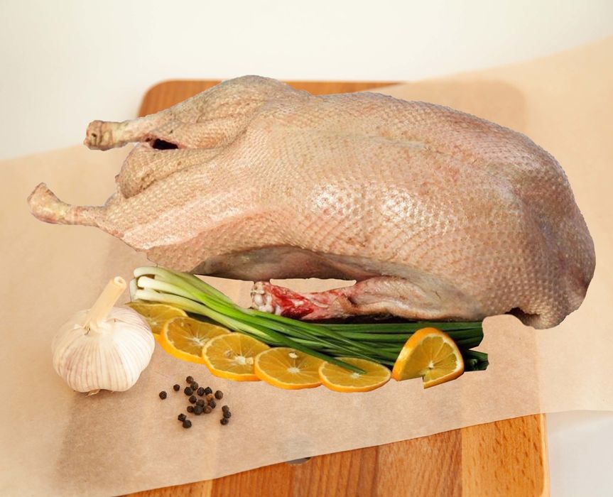 Продам тушки гусей.