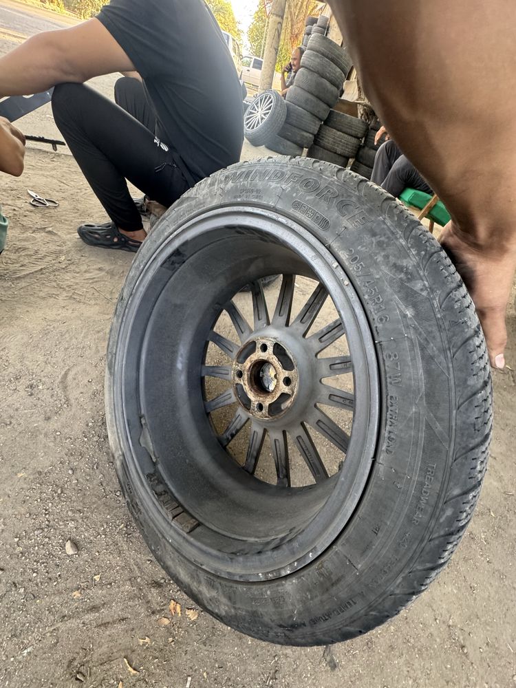 Vossen 16 saka alo