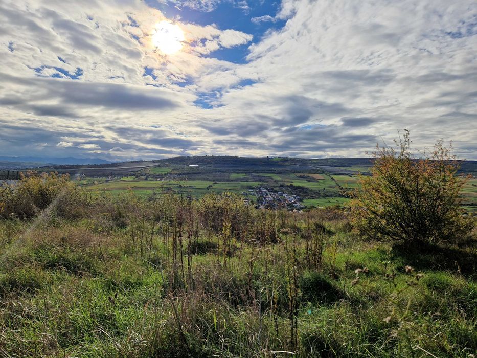 Teren vanzare in Iris, Valea Chintaului, strada Pomet