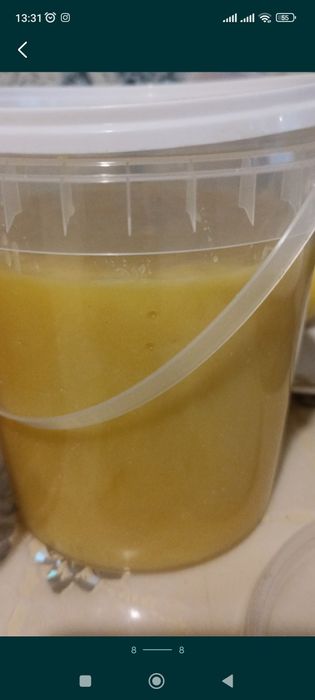 Мед подсолнечник