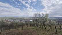 De vanzare teren intravilan 2500 mp în Viisoara