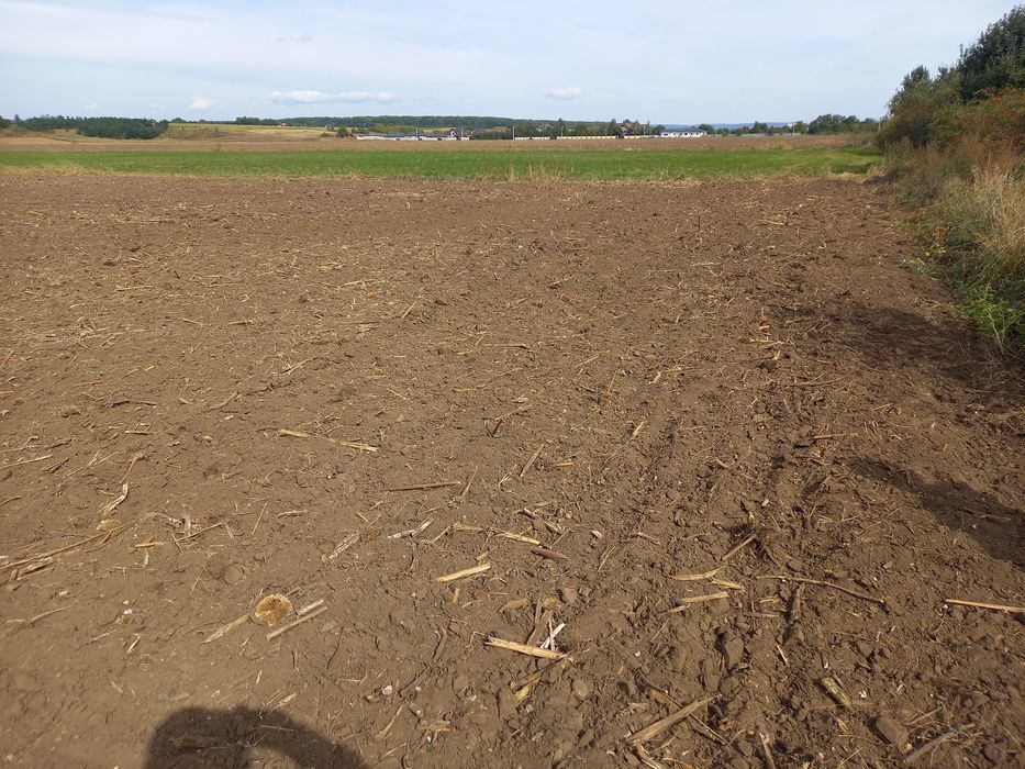 Vand teren 3600 mp  Targul Neamt .