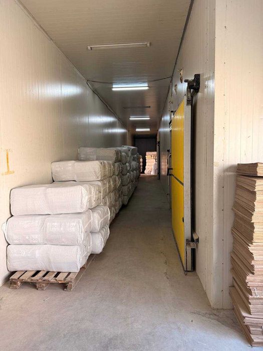 Холодильное помещение на 1000 тонн.