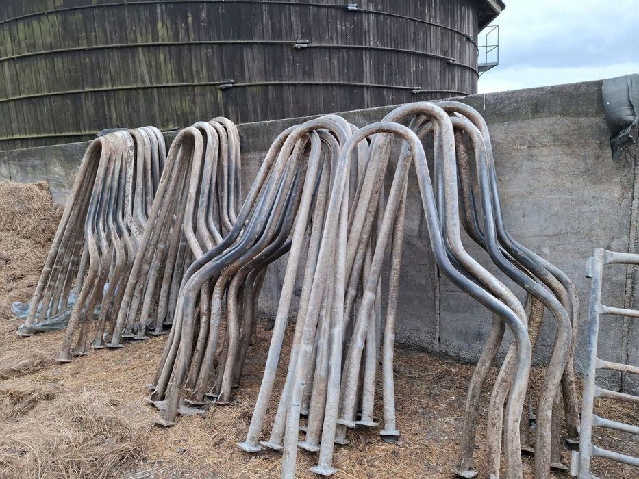 covoare vaci cusete fronturi racleti