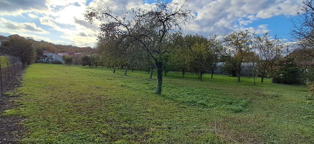 Teren Intravilant 2497 mp. Ideal  pentru o constructie rezidentiala!!!