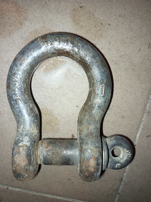 Шегел 8.1/2 Тона