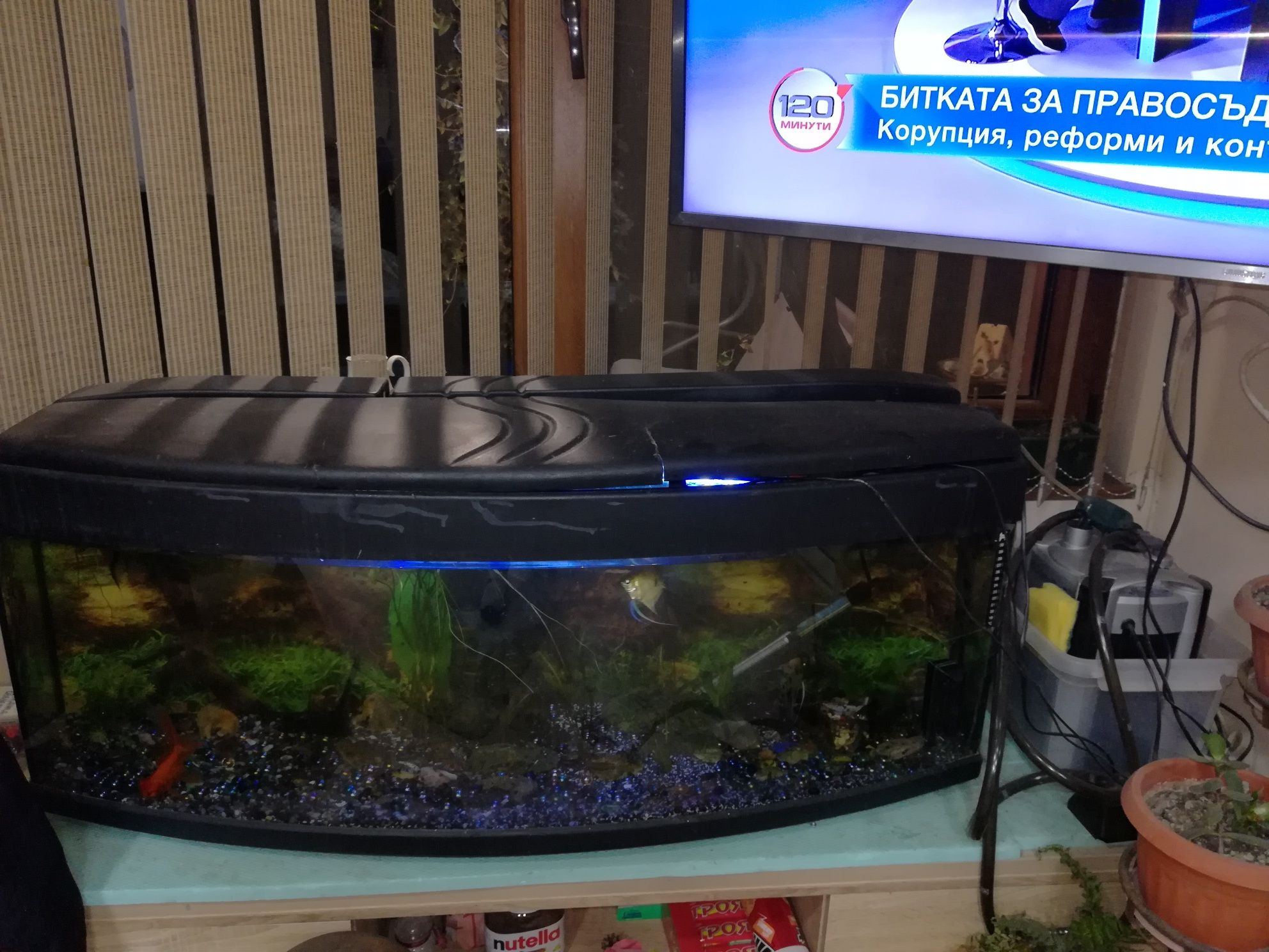 Голям аквариум 200 литра