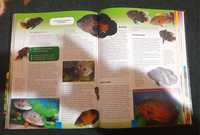 Книги про аквариум и разведение рыб.