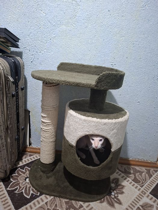 Домик для кошек.