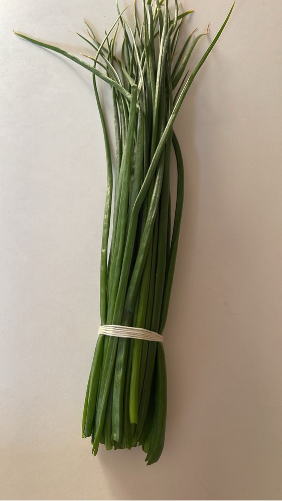 Лук зелёный ( пучками)