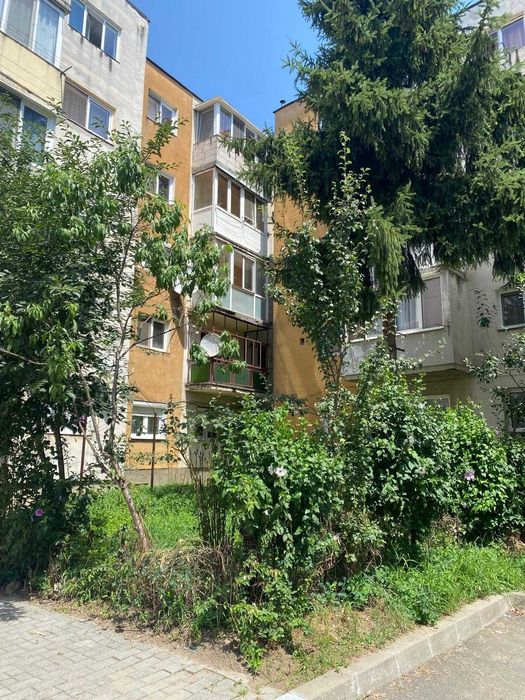 apartamente de vanzare lipova