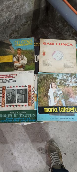 Discuri vinil de colecție