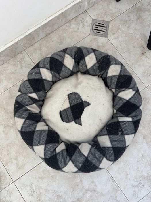 Котешки легълца.