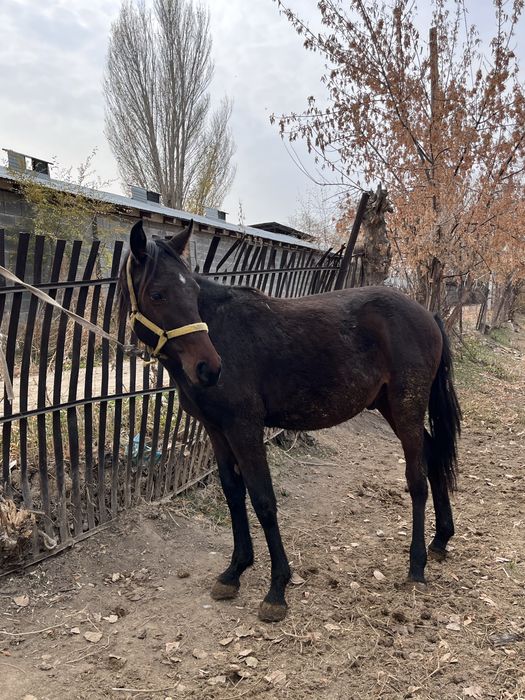 Срочноо продается!!!