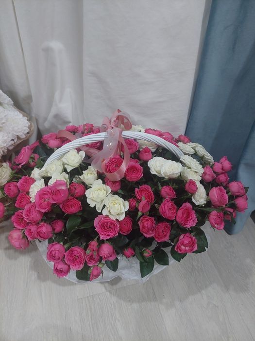 Продам цветы Актобе
