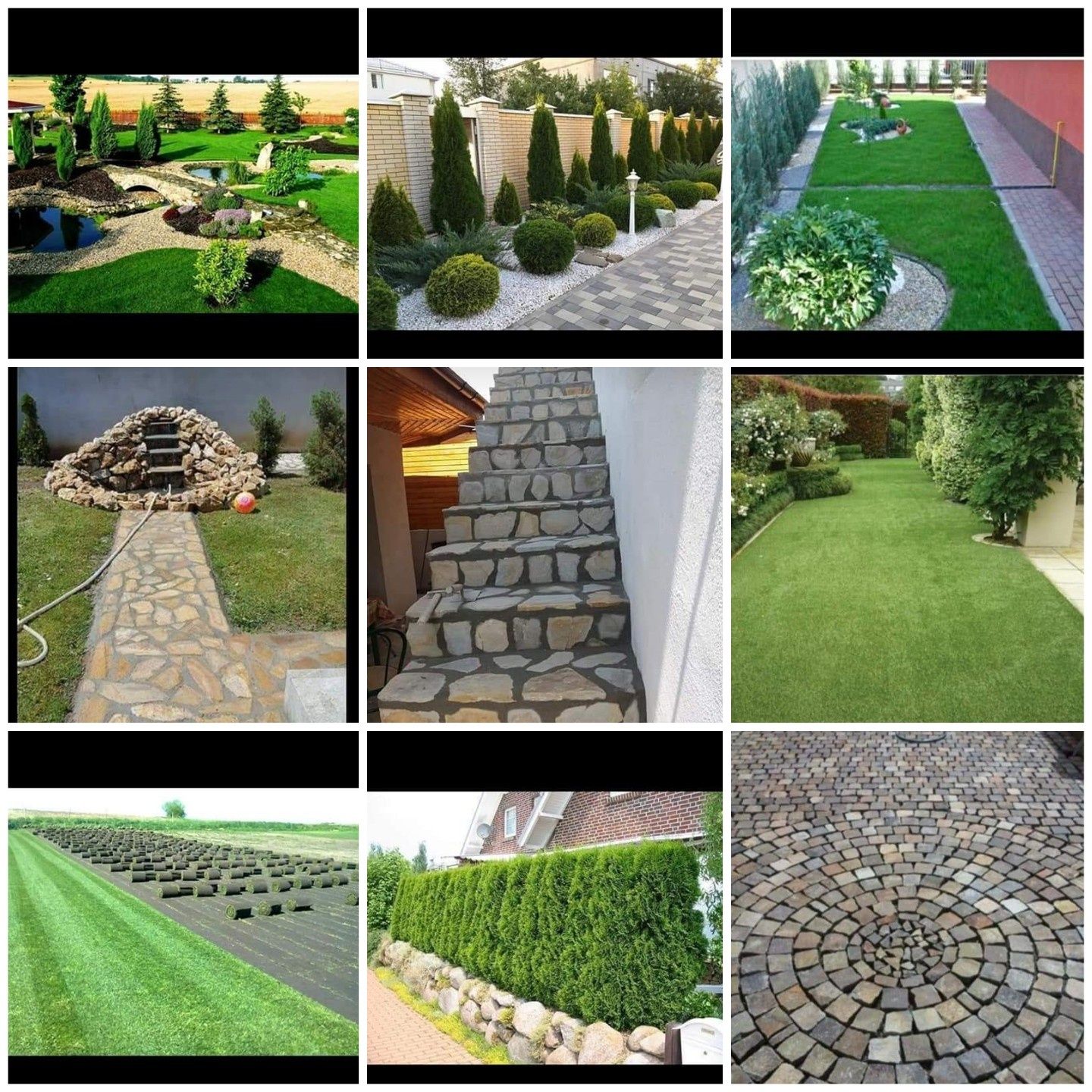Vând plante ornamentale oriunde în țară execut grătare cascade cu tot