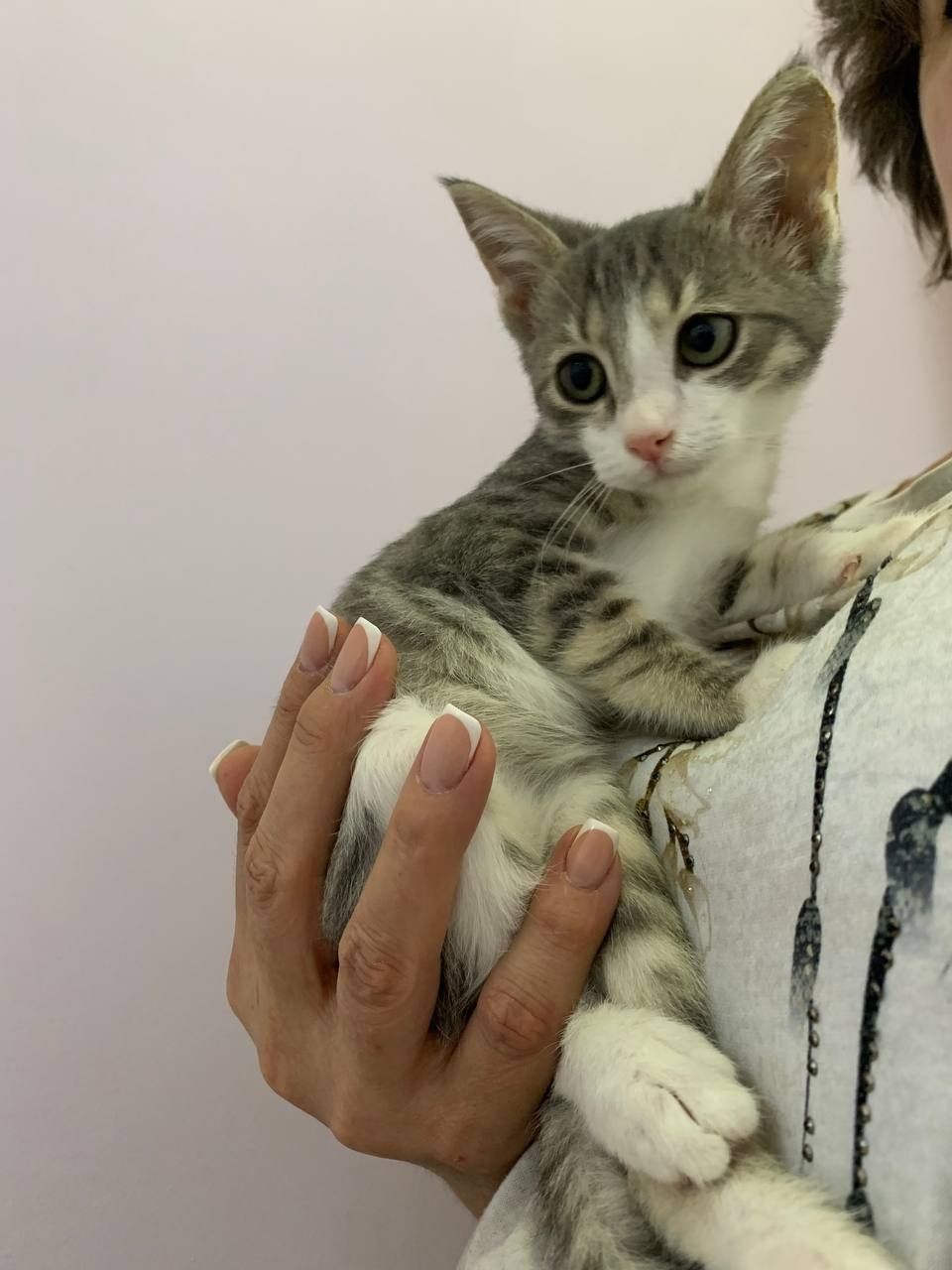 Котята в ответственные руки