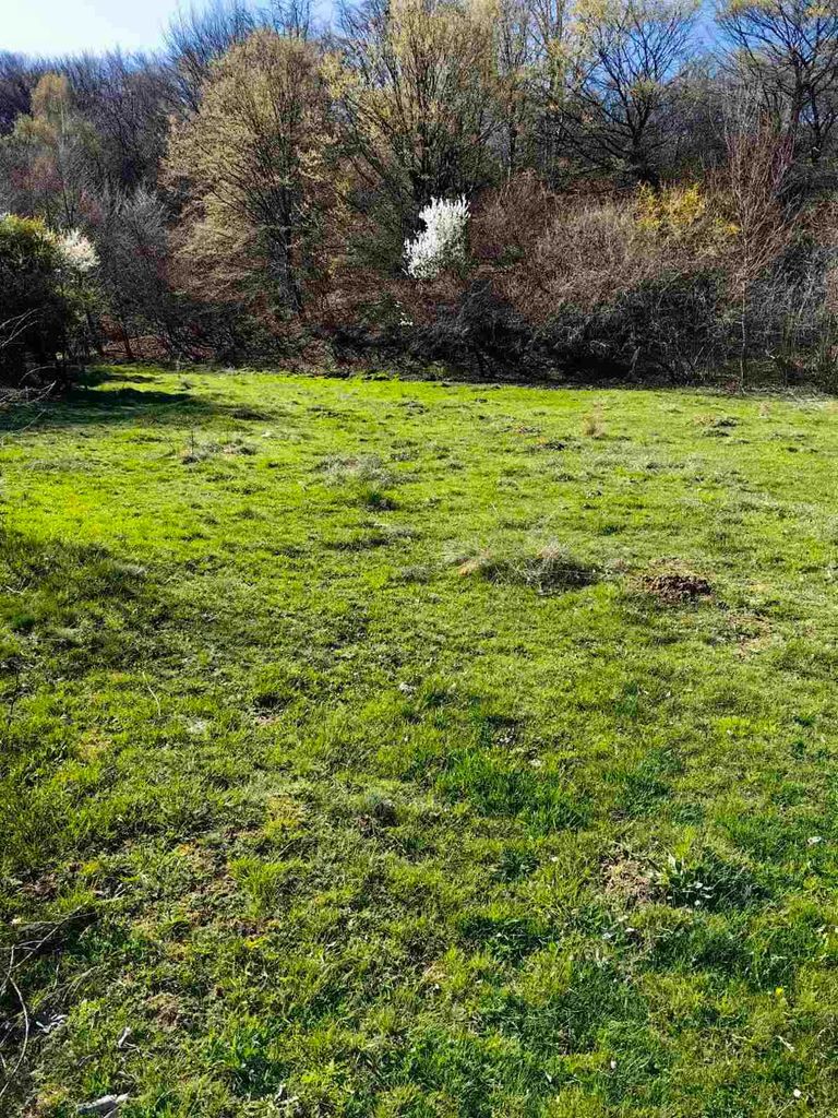 Продава се Парцел в с. Кладница, Област Перник - 1660 кв.м за 110 €/кв.м - Снимка #6