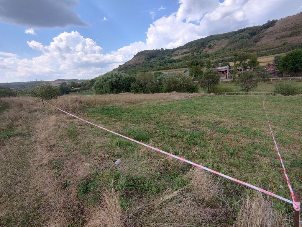 Vând teren Comuna Chinteni sat Macicasu