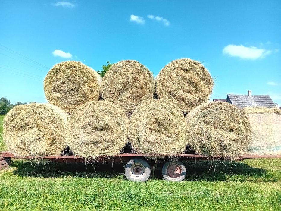 Vând baloti rotunzi de fân