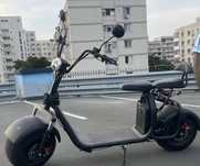 Scuter Fatboy tip hearly