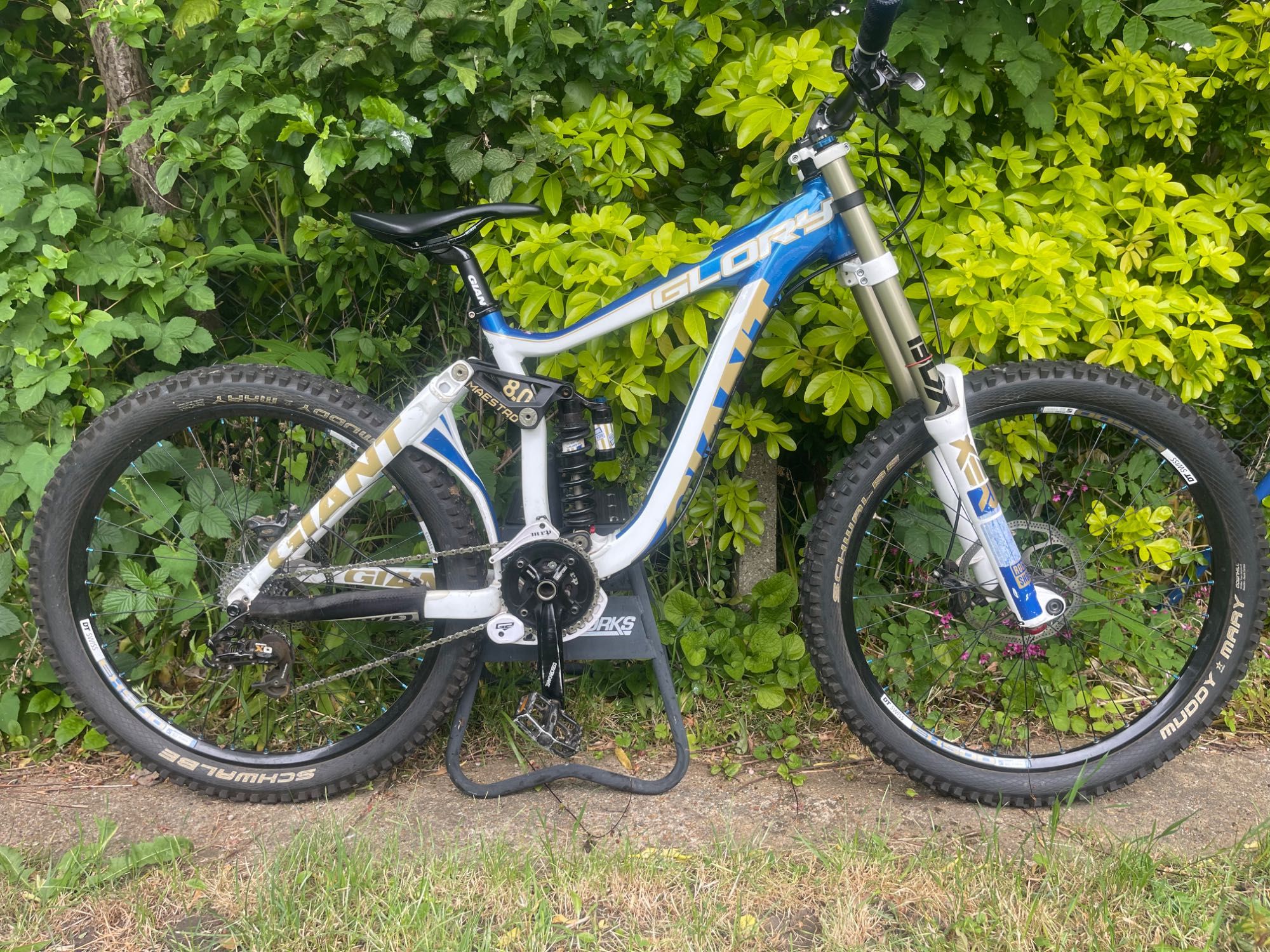 Giant Glory не saracen trek specialized yt