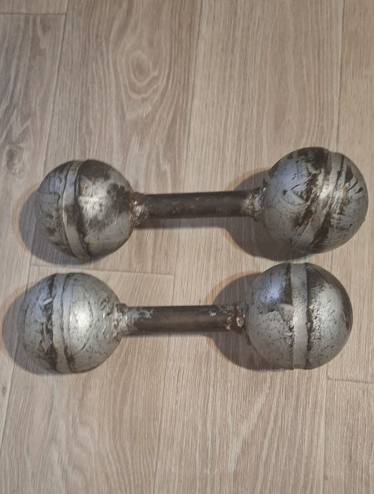 гантели по 10 кг