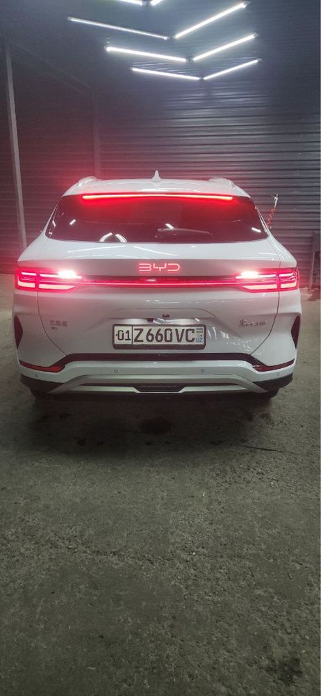 Byd chimpion 2024 yil arenda