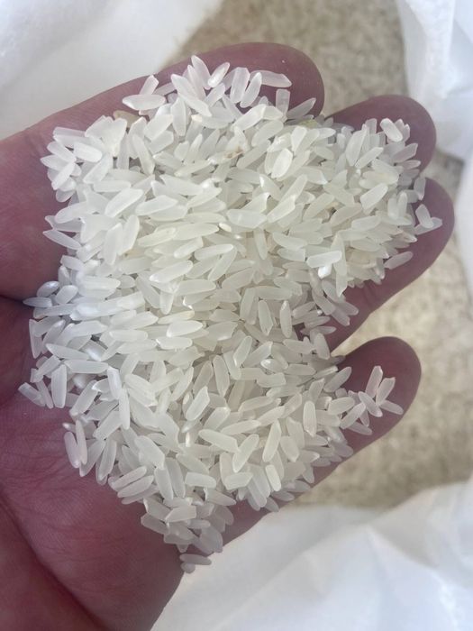 Xorazm gruch oliy nav