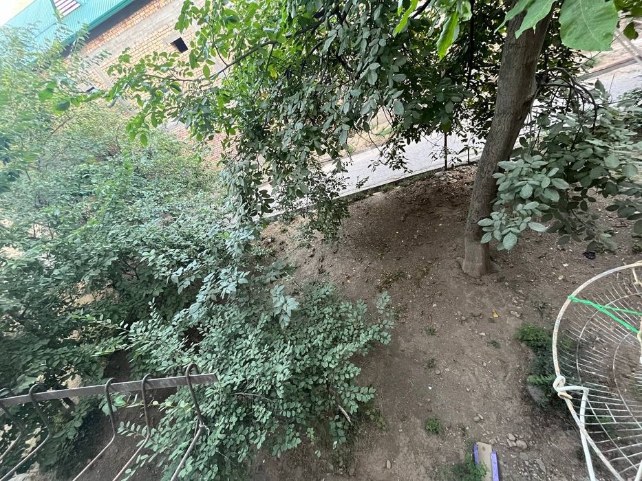 1xonali uy Chorvoqda