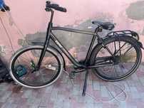 Bicicleta Gazelle Esprit