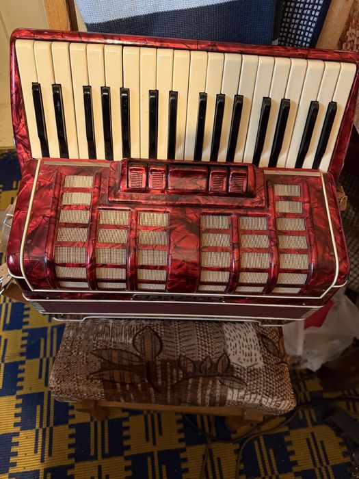 Acordeon nemțesc Cantulia