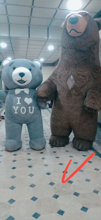 3.5 merli ayiq sotiladi