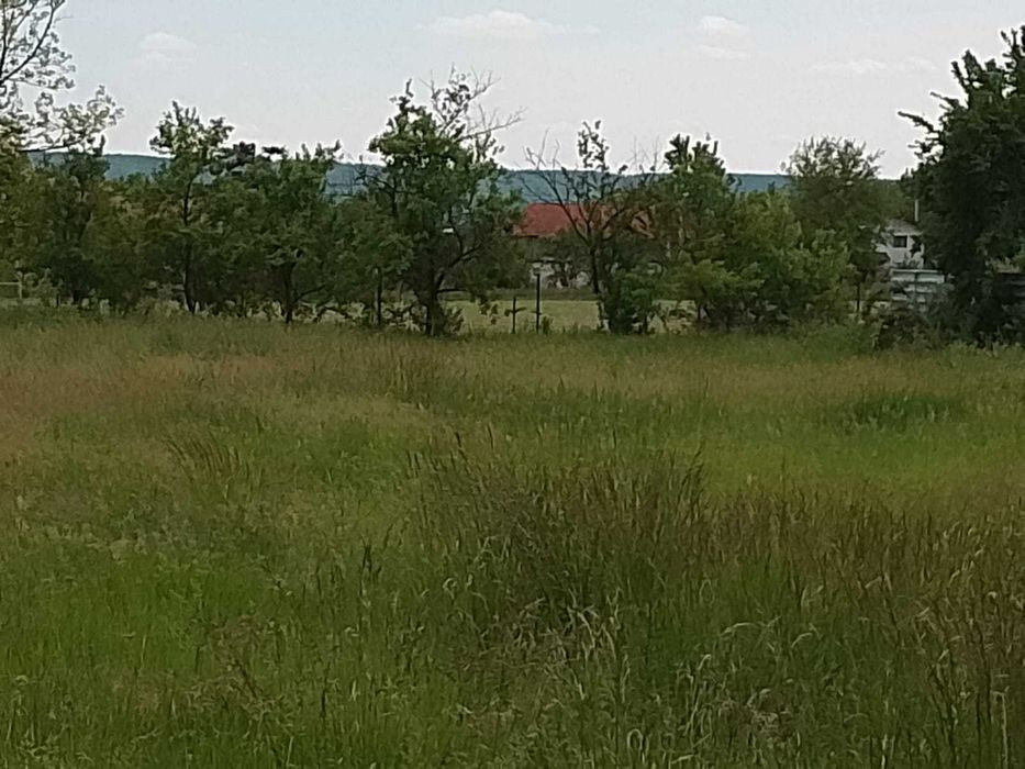 Teren de vânzare, 1700m2, Piscani