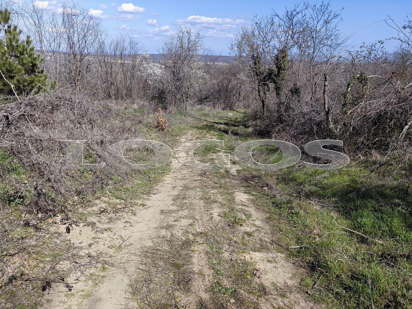 Парцел в Варна, област-с.Приселци площ 0 цена 39900