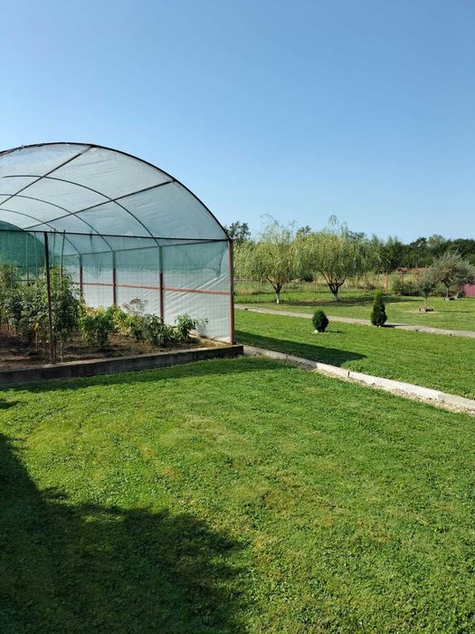 Vand casa renovata sau schimb cu apartament zona centrala + diferenta