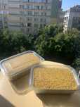 Polen crud congelat